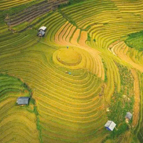 Hanoi - Tram Tau - Mu Cang Chai - Khau Pha Pass - Tu Le - Tram Tau (3 Days, 2 Nights)