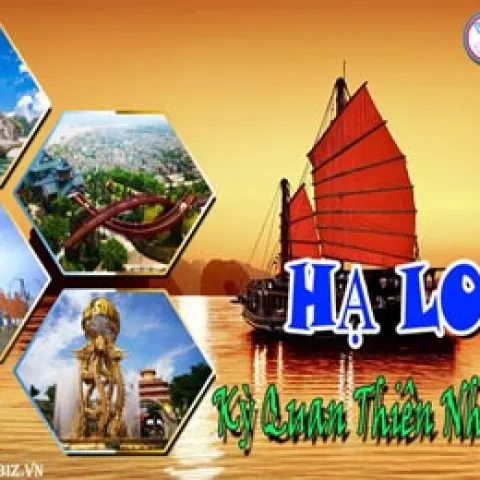 Hà Nội - Hạ Long 1 ngày, tàu 4 sao