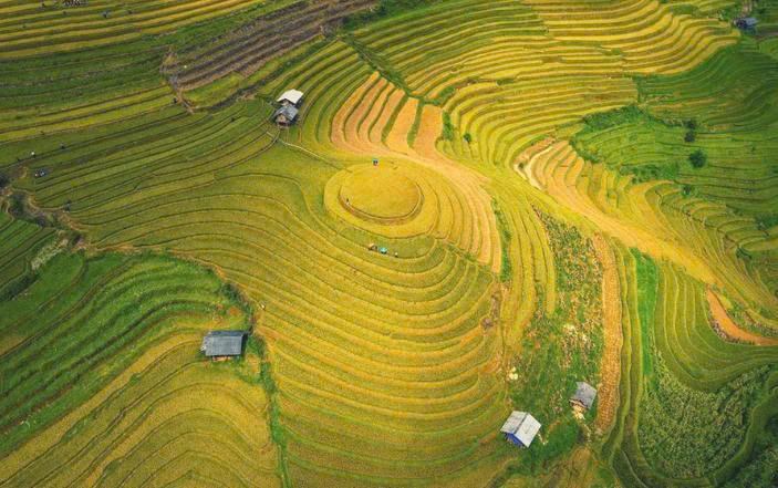 Hanoi - Tram Tau - Mu Cang Chai - Khau Pha Pass - Tu Le - Tram Tau (3 Days, 2 Nights)