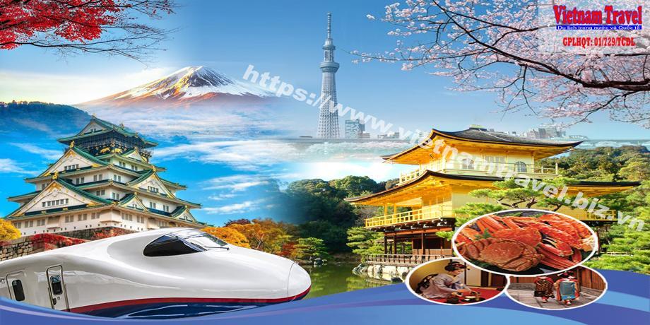 Hồ Chí Minh - Osaka - Nara - Kyoto - Nagoya - Yamanashi - Tokyo 5 Ngày 5 Đêm, KS 4-5 Sao