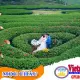 Ảnh 2